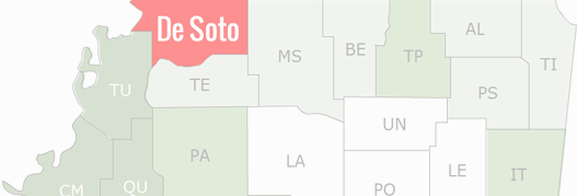 De Soto County Map