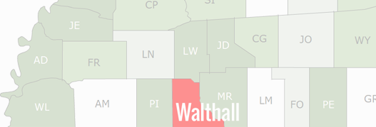 Walthall County Map